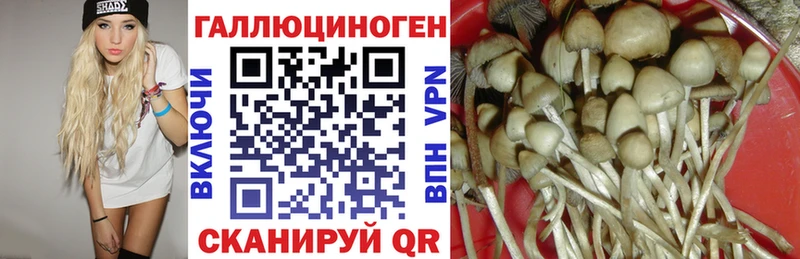 Псилоцибиновые грибы Psilocybine cubensis  что такое наркотик  Озёрск 
